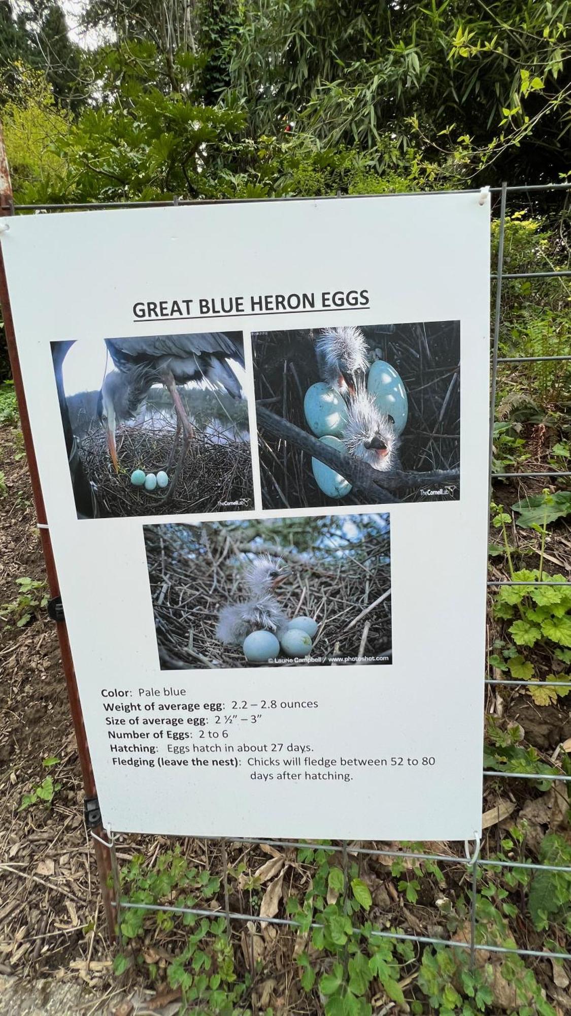 Blue Heron Sanctuary & Serene, River-front West Linn
