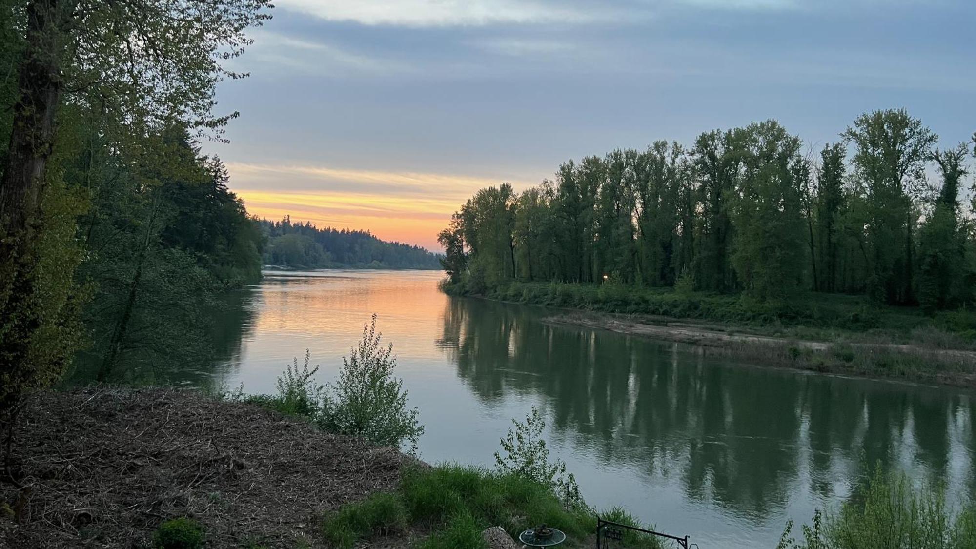 Blue Heron Sanctuary & Serene, River-front West Linn