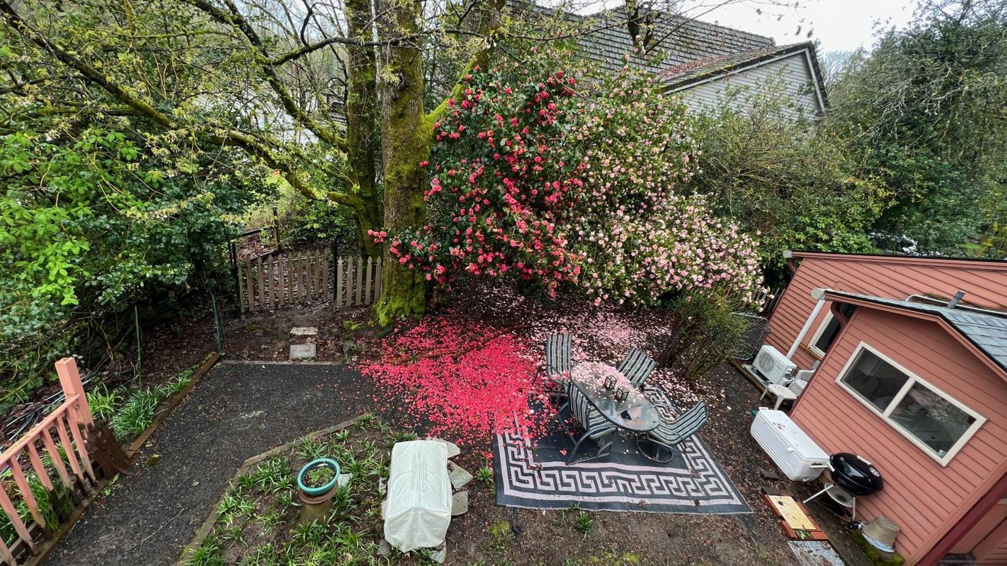 Blue Heron Sanctuary & Serene, River-front Holiday home West Linn